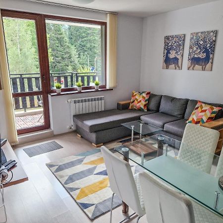 Sunny Apartment C25 ボロヴェッツ エクステリア 写真