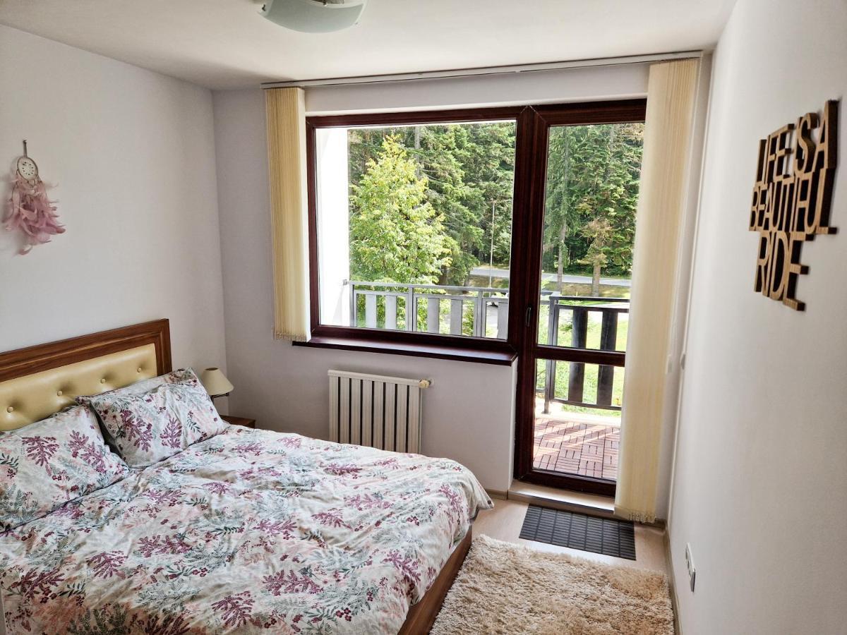 Sunny Apartment C25 ボロヴェッツ エクステリア 写真