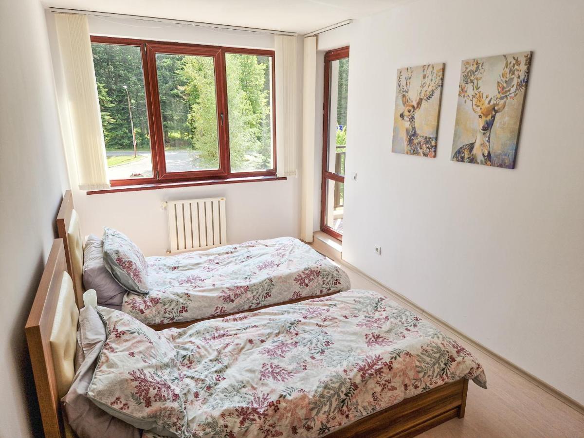 Sunny Apartment C25 ボロヴェッツ エクステリア 写真