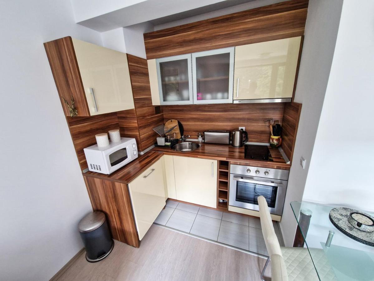 Sunny Apartment C25 ボロヴェッツ エクステリア 写真
