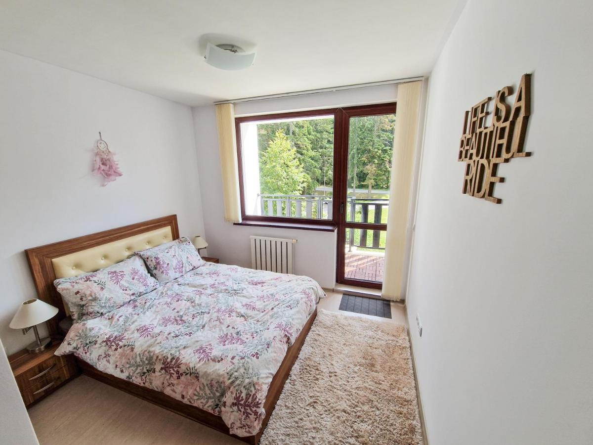 Sunny Apartment C25 ボロヴェッツ エクステリア 写真