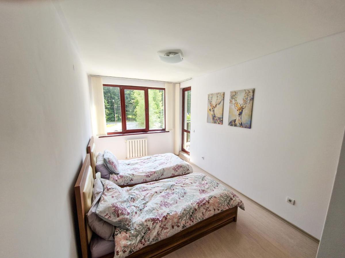 Sunny Apartment C25 ボロヴェッツ エクステリア 写真